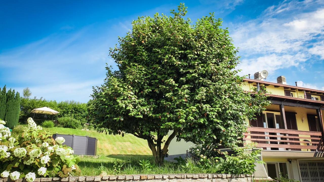 Gardenpark Soleil Villa Nebbiuno Ngoại thất bức ảnh